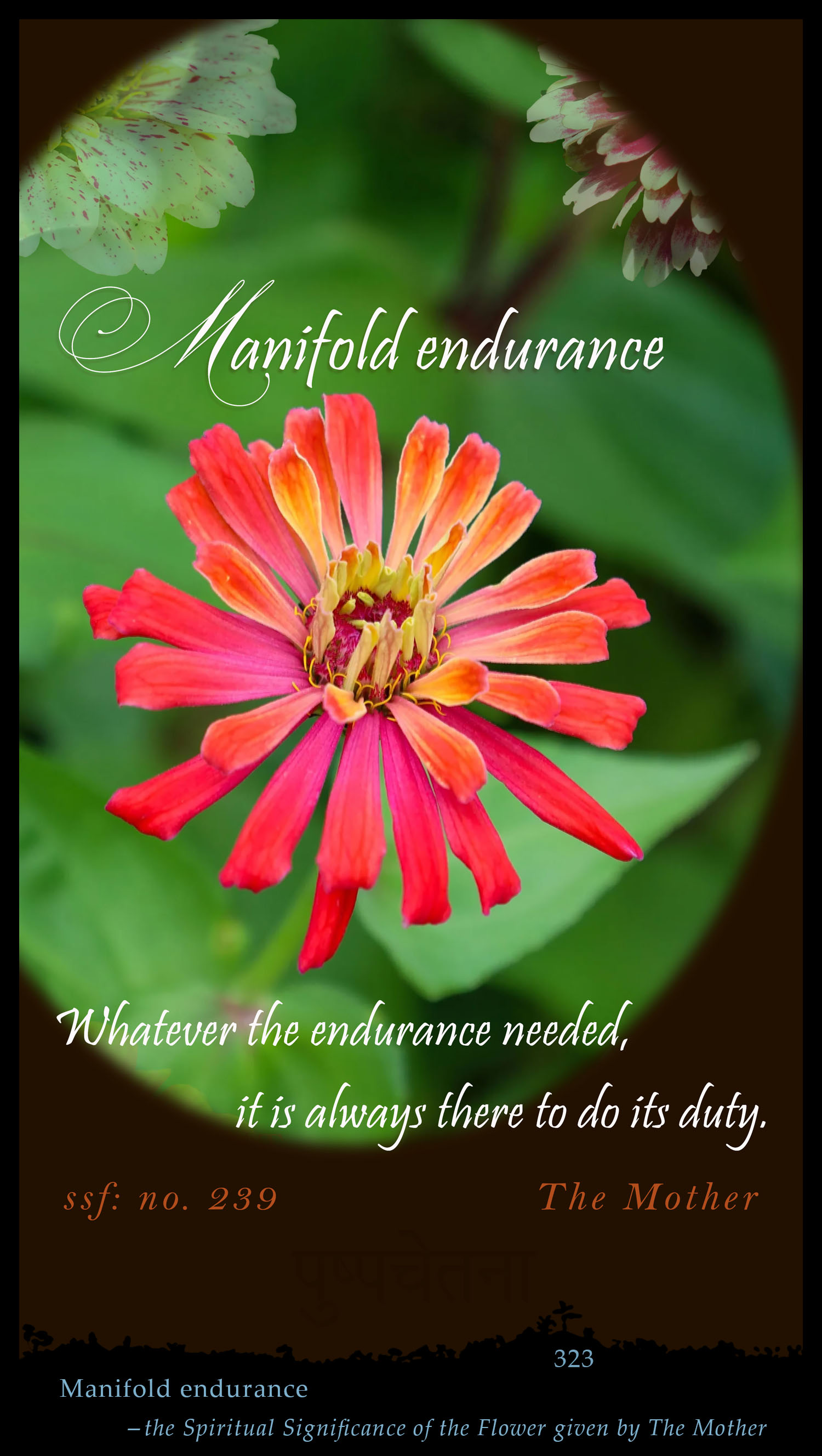 Manifold Endurance